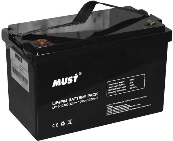 изображение_viber_2024-08-28_15-59-42-055 Акумуляторна батарея MUST LiFePO4 12V 100Ah (LP15-12100) - Зображення 1